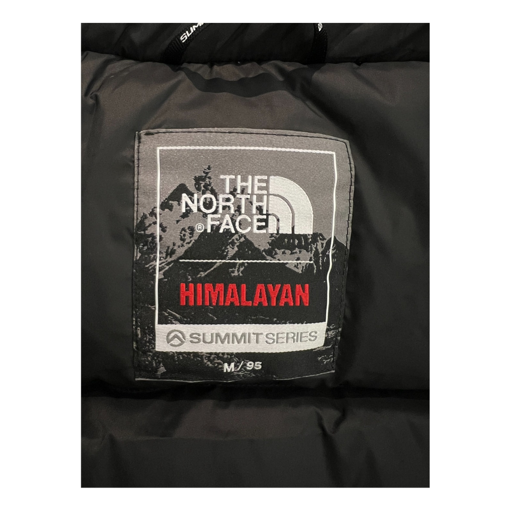 The North Face Himalayan Hooded Parka | 700-Fill Down | Expedition-Grade Warmth