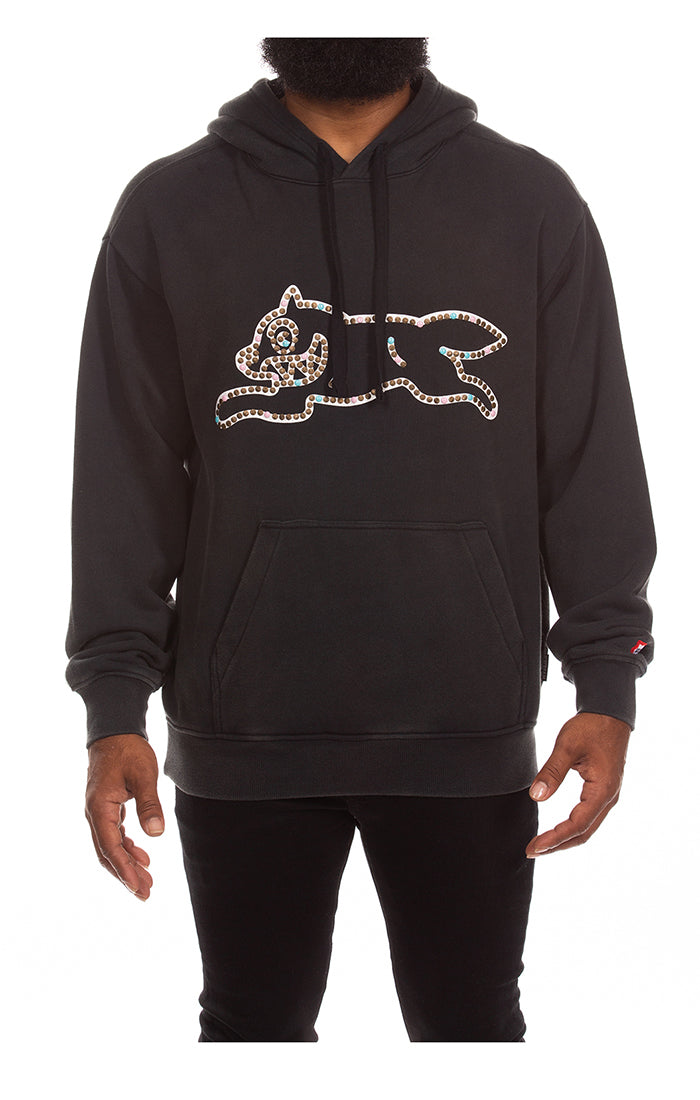 Icecream Park Hoodie